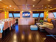 Sailing catamaran blue coast 95 - 1 - view of salon